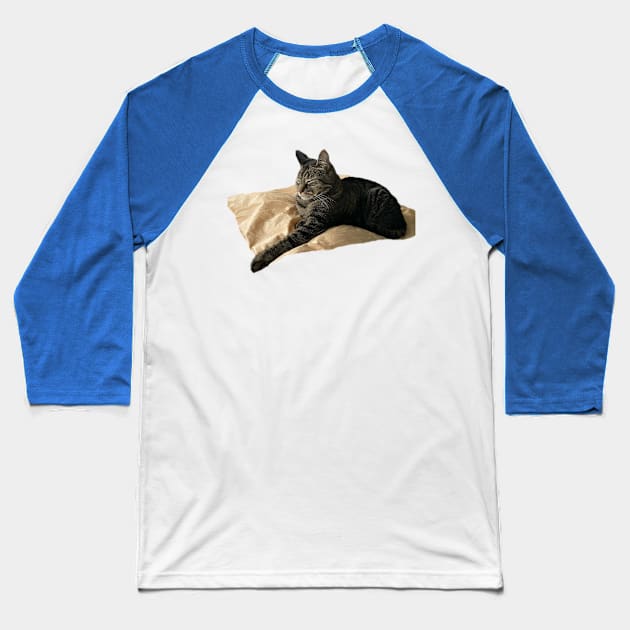 Sleeping Tabby Baseball T-Shirt by Amanda1775